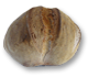 pane biologico di grano tenero di tipo 2